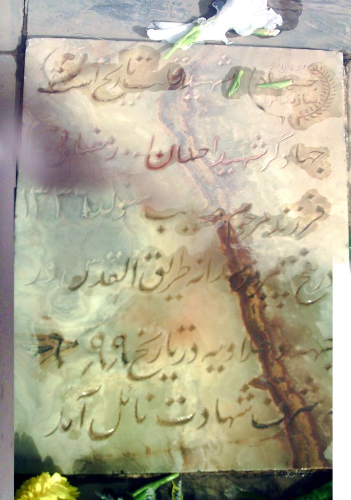 فاقد تصویر